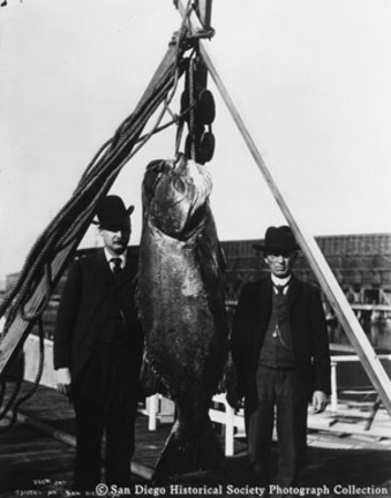 Two men posing with giant sea bass caught from launch McKinley