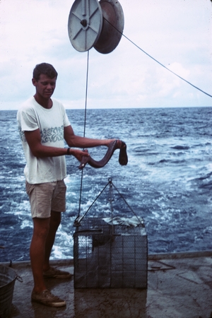 Ronald R. McConnaughey with his 3-chambered trap and giant hagfish Eptatretus goliath, found at 860 fathoms