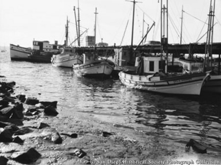 Docked fishing boats Giuseppe, California, and Rosalia-Madre