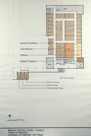 Medical Teaching Facility: floor plan