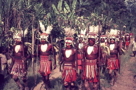 Decorated men from Koiari village, wearing headdresses, body and face paint, baler shell ornaments, and other finery