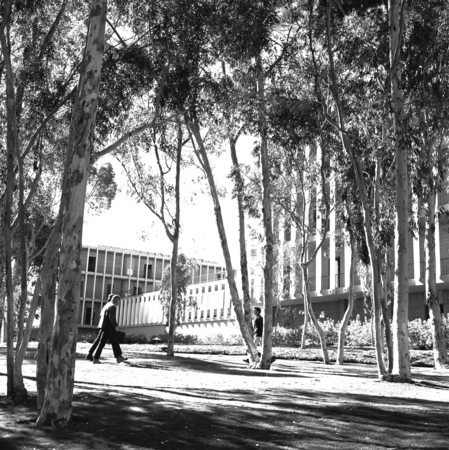 Humanities and Social Sciences Building, Revelle College, UC San Diego