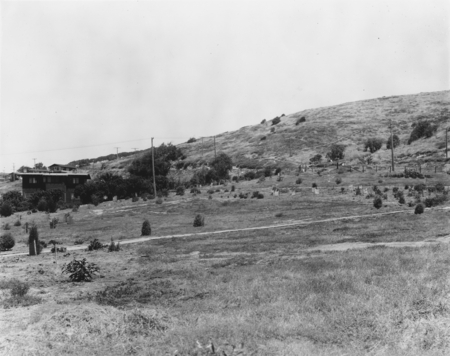 [Director&#39;s House and Garden, Scripps Institution of Oceanography]