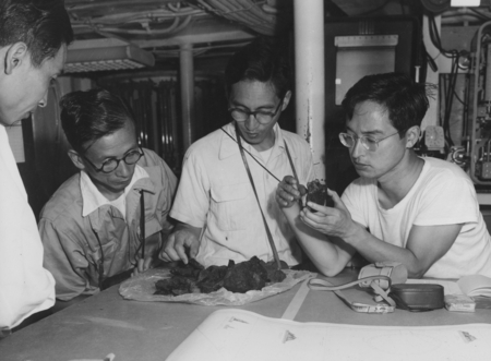 From Left: Japanese scientist (Motoda?), Japanese scientist, Albert Takenucki, Nasu Noiyuki, examining samples from Bayonn...