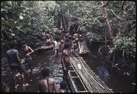 Canoe-building: hollowed log floated downstream, group of men prepare to return from forest in their smaller canoes