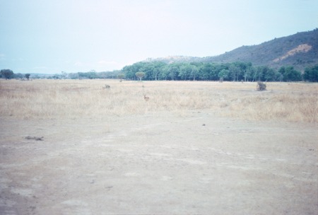 Sumbu Game Park: antelope