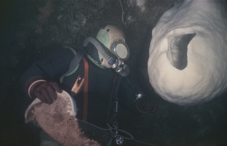 Alexander F. Pushkin with collecting gear at a volcano sponge Anoxycalyx (Scolymastra) joubini