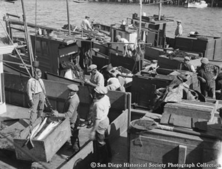 Fishermen unloading catch from boats docked on San Diego waterfront