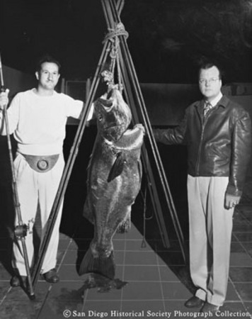 Two men posing with sea bass caught off Crystal Pier