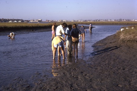 Paul Dayton&#39;s first Natural History of Coastal Habitats course at Scripps Institution of Oceanography, on a field trip at ...