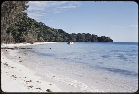 Beach with fringe of trees, small boat in distance, Munuwata Island