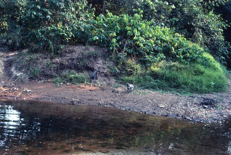 Mukubwe River running through Nsama village