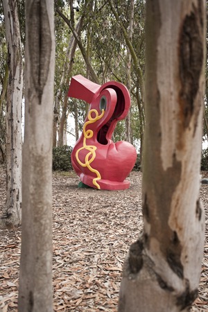 Red Shoe: view between eucalyptus trees