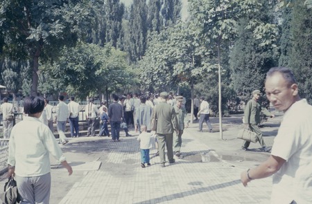 Crowd in the park