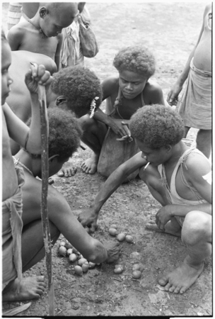 Boys dividing betel (areca) nuts at Foutoru.