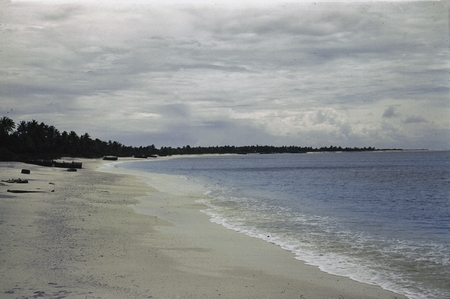 A view of the beach on Bikini Island, this photo was taken by a member of the Capricorn Expedition (1952-1953). Operation ...
