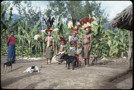 Bride price for Bints: bride and female kin adorned with plumes and other valuables, bride in center with skin greased