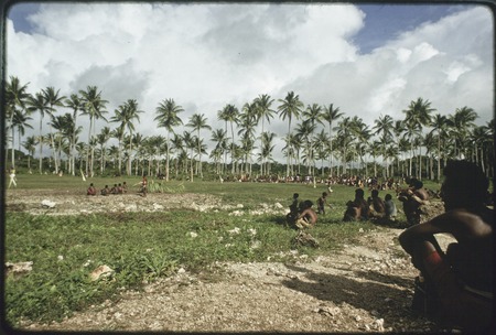 Soccer (football) match: spectators, grove of coconut palms in background