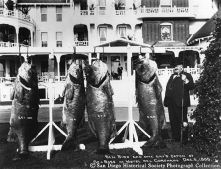 Sam Bibo and one day&#39;s catch of sea bass at Hotel del Coronado, Dec. 4, 1905