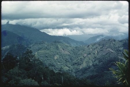 Jimi River area, forested mountains