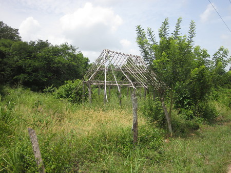 Tixcuytun Branch Building Structure
