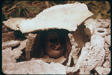 Skull inside of shrine made of coral slabs with shell ring offerings