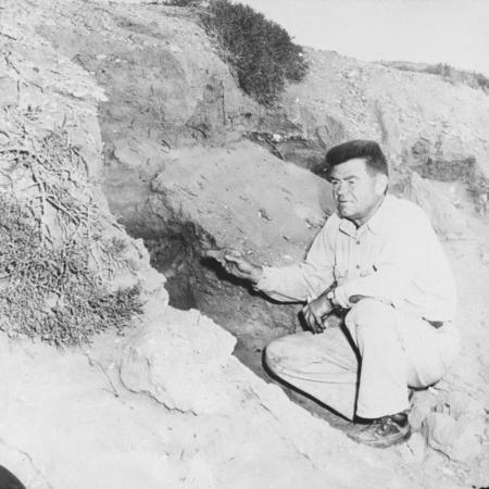 Carl L. Hubbs during first dig at Punta Minitas Midden, Baja California, Mexico