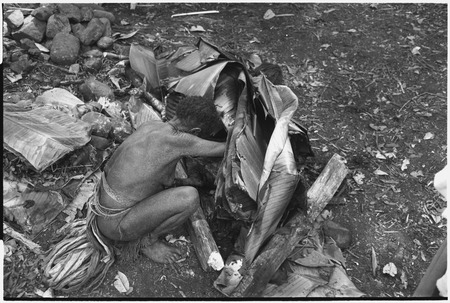 Pig festival, pig sacrifice, Tsembaga: man checks food cooking under banana leaves over hot stones