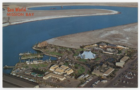 Postcard San Diego California at Sea World With Parade of Penguins Unposted 