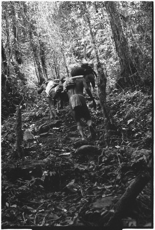 Fainjur area: carriers on steep trail through forest