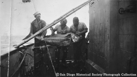 Three fishermen, including Pete Asaro, posing catch of tuna on board American Voyager