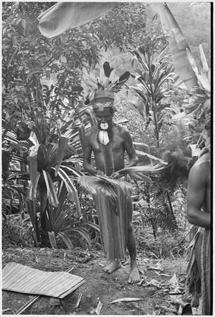 Pig festival, uprooting cordyline ritual, Tsembaga: decorated man holds bird-of-paradise feather valuables that he has rem...