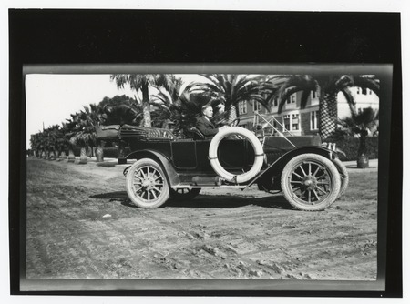 Man driving on palm-tree lined street