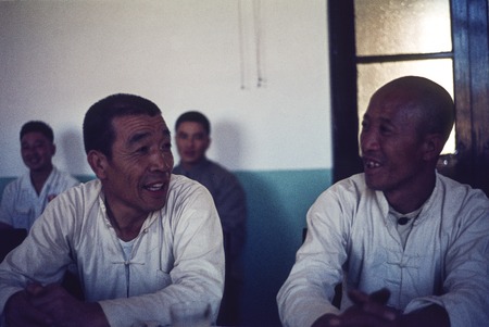 National Labor Model Chen Yonggui Participating in Discussion