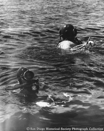 American Agar and Chemical Company divers swimming on surface of ocean off Baja California coast
