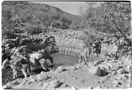 Stone dam in watercourse