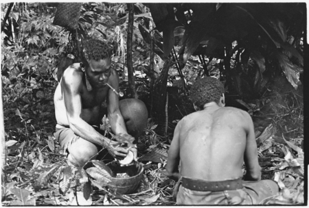Priest Kwa&#39;ilamo scraping coconut meat from shell for ritual pudding.
