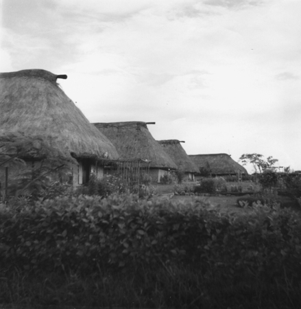 Native huts in Suva, Fiji. This photo was taken during the Capricorn Expedition (1952-1953). December 1952.