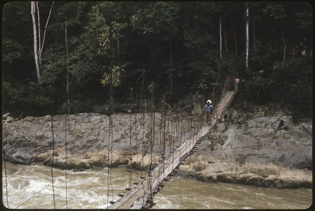 Jimi River footbridge, Susan Pflanz-Cook and others crossing