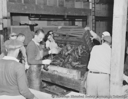 Men unloading lobster catch at Chesapeake Fish Company