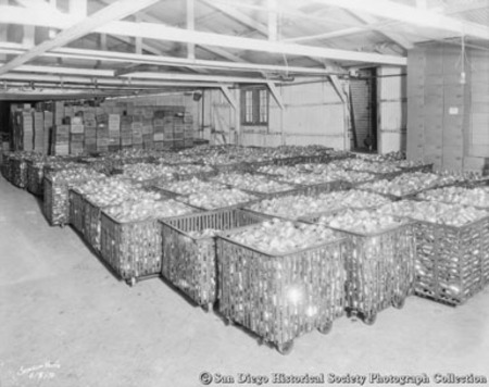Cans [of tuna?] in rolling baskets at Cohn-Hopkins Company cannery