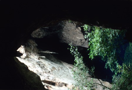 Inside Chinhoyi Caves, Zimbabwe