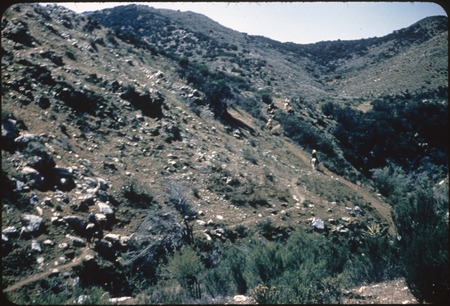 Trail from Rancho Tepí to San Rafael