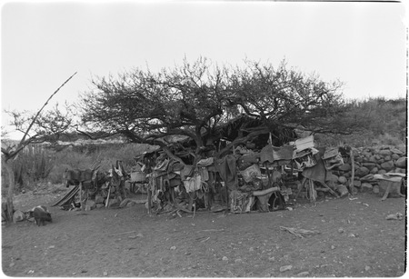 Saddle gear area at Rancho Las Jícamas