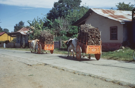 Carts near Cartago, Costa Rica, VIII-1-52 c0900