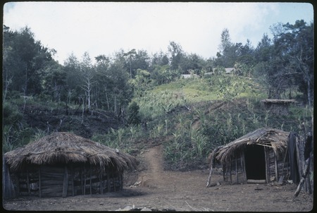 Pig houses of Mai and Ndikai, garden and houses in background