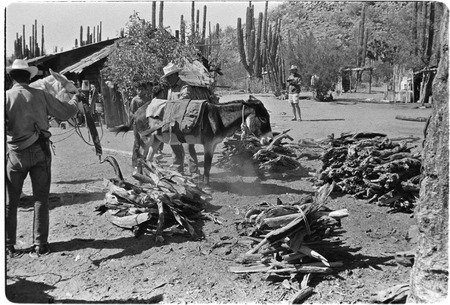 Wood collectors at Rancho Carrizito