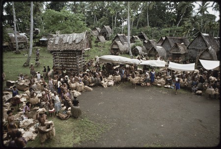 Mortuary ceremony: women gathered for exchange of banana leaf bundles and long fiber skirts, note yam house (l)