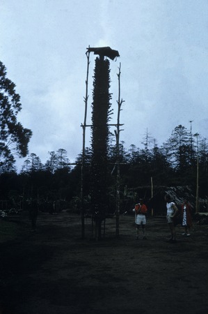 A post festooned with bones of pigs and wild animals, in a ritual for ancestors