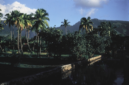 Canal Tahiti